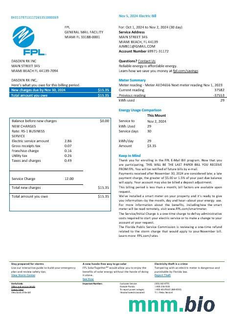USA Florida FPL electricity rachunek za usługi komunalne formaty Word i PDF, Wersja 2